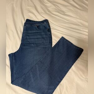 Lands' End Deep Blue Denim Pants